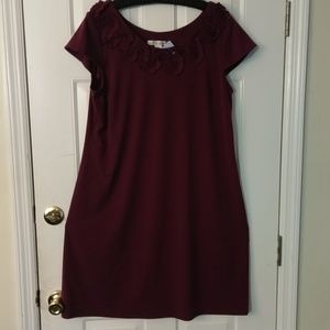 NWT purple AA Studio 👗 18W